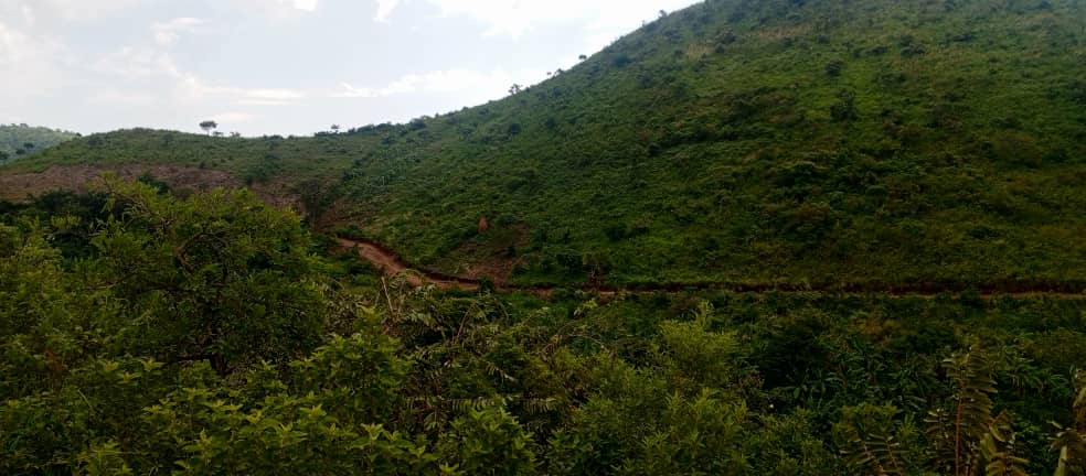 CommonGround Project (@commongroundug) on Twitter photo Road works are progressing well. Today, we visited Kakogha Buragapass road in Nyambigha community Karungu subcounty in <a href="/NtorokoD/">NTOROKO DLG</a> and the works are ongoing. The community is happy for this cause.<a href="/NLinUganda/">Embassy of the Netherlands in Uganda</a> <a href="/WURenvironment/">WUR Environmental</a> <a href="/ISSDUganda/">ISSD Uganda</a> Road works are progressing well. Today, we visited Kakogha Buragapass road in Nyambigha community Karungu subcounty in <a href="/NtorokoD/">NTOROKO DLG</a> and the works are ongoing. The community is happy for this cause.<a href="/NLinUganda/">Embassy of the Netherlands in Uganda</a> <a href="/WURenvironment/">WUR Environmental</a> <a href="/ISSDUganda/">ISSD Uganda</a>