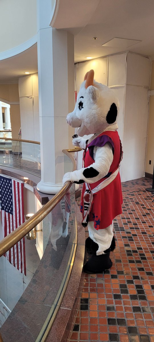 Our beloved mascot has officially taken their talents to…the STATE CAPITOL! 🏛️

Moodonna attended the PRLA "Taste of the State" Reception in Harrisburg - safe to say, it looks like she had a MOOvelous time!