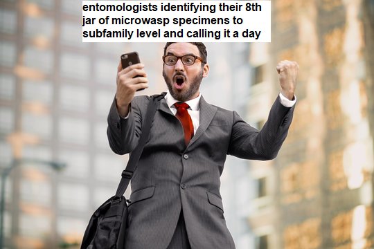 Steven 🇮🇩 🇺🇸 🍉(neontetraploid on IG) (@neontetraploid) on Twitter photo 