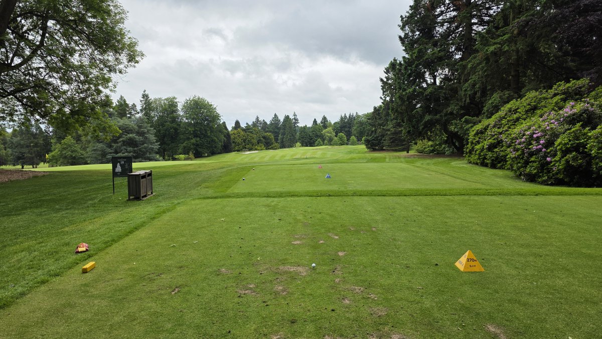The par 4 18th at Royal Golf Club of Belgium aka Ravenstein, a Tom Simpson design from 1906. Course is currently in the best condition I have ever seen it, it's excellent.