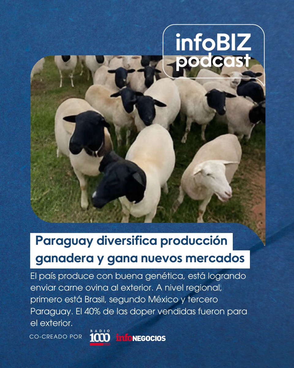🇵🇾 El país diversifica producción ganadera y afianza su presencia en el mercado internacional de genética animal, exportando raza ovina de Dorper a Argentina e Uruguay. 

▶️ Dale Play y mantenete informado en open.spotify.com/episode/6E97r6…

#infobizpodcast #tuespaciodenegocios