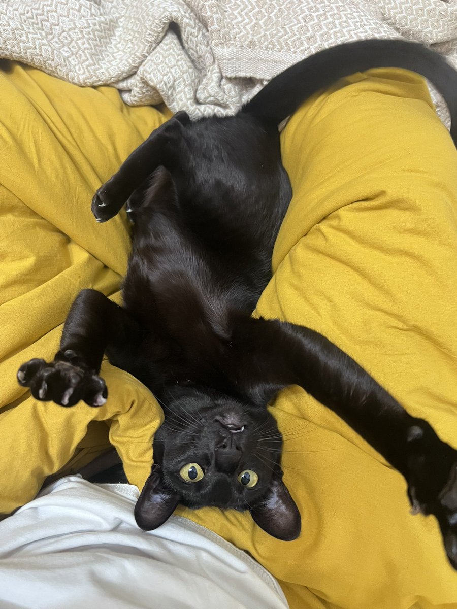 Иди обниму😍