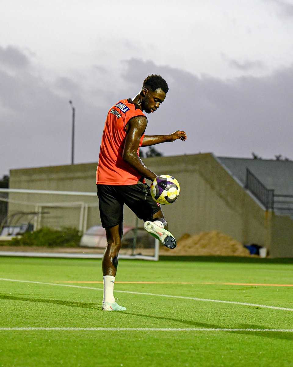 DAVINSON tweet media