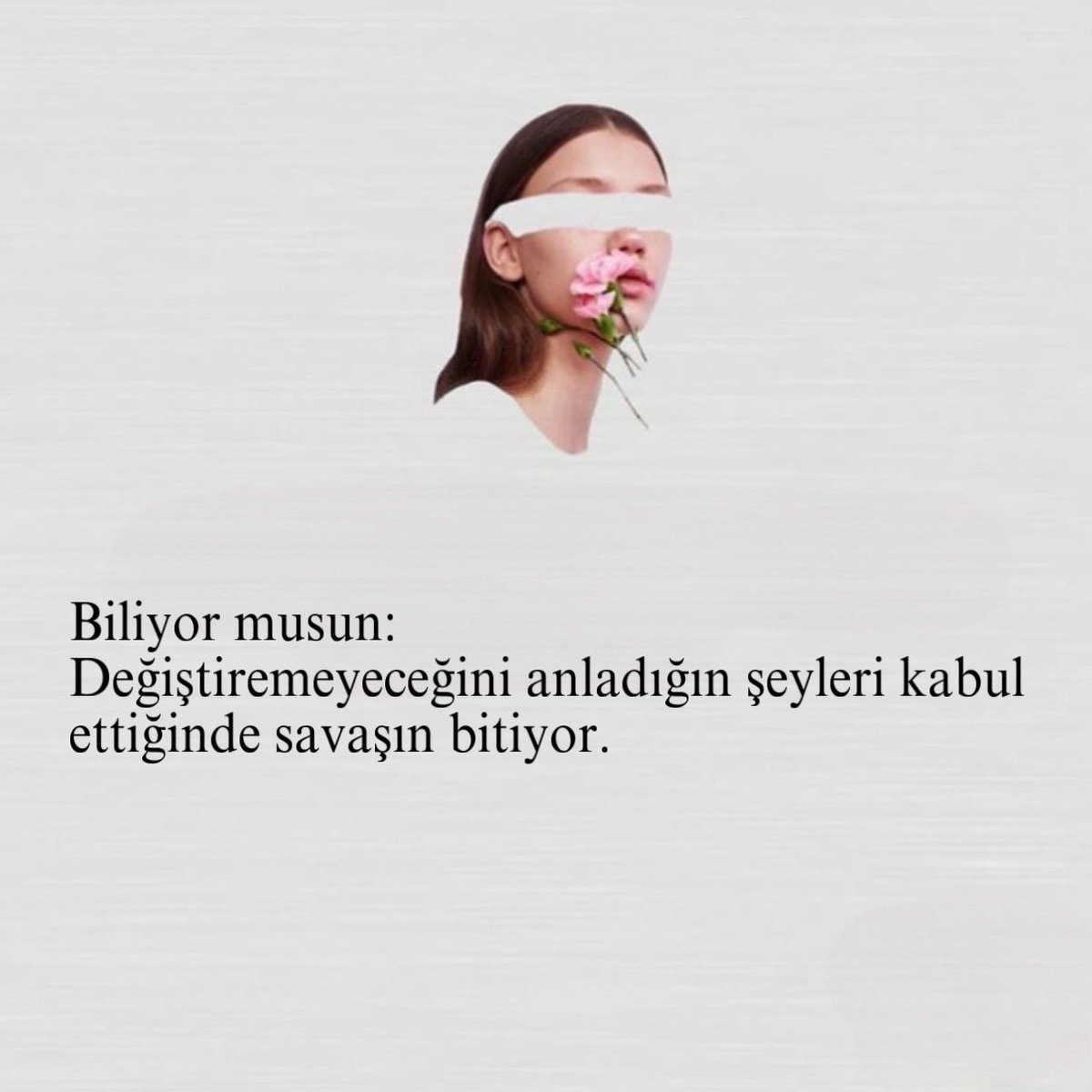 pozitifpsklj's tweet photo. https://t.co/TLqszHtXGO