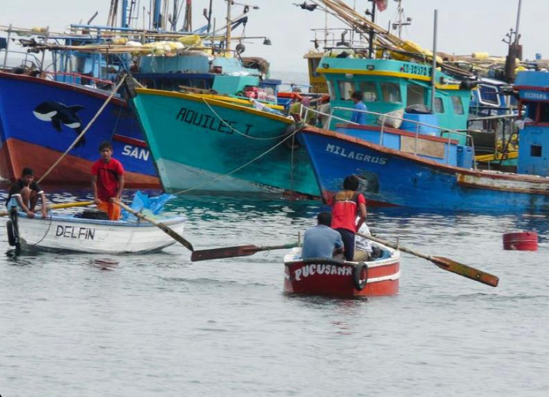 ELIMINACION DE SUBSIDIO AL DIÉSEL
.
La nueva normativa que decreto el presidente de la república Daniel Noboa, de la eliminación de Subsidios al Diésel para el sector Pesquero comienza desde el 4 de Junio.
.
M.G.O.S
.
#Nacional #Ecuador #SectorPesquero