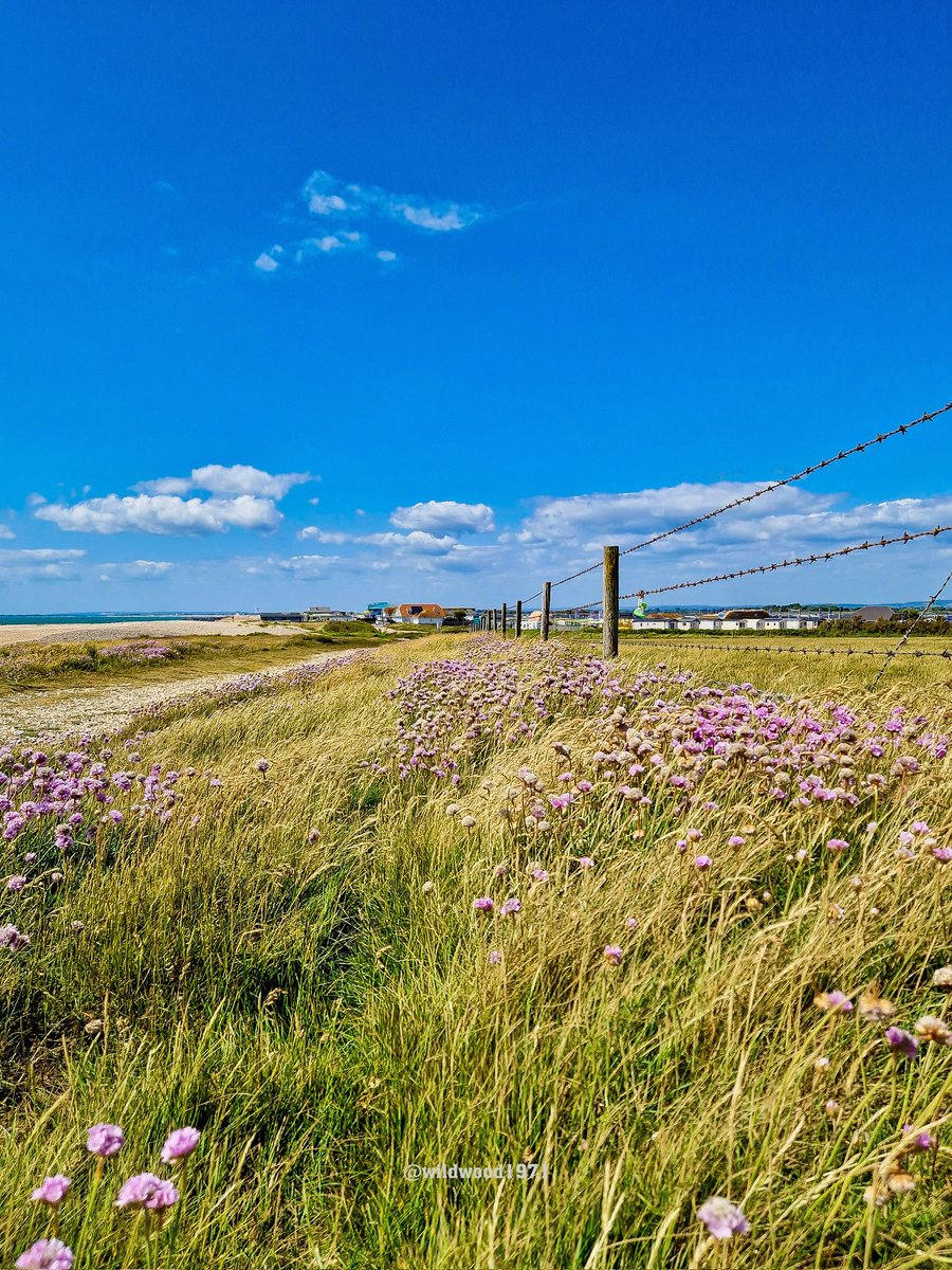 Beautiful West beach ⛱️ 😍 <a href="/PONewsHub/">PO Hub</a> <a href="/greatsussexway/">The Great Sussex Way</a> <a href="/ExpWestSussex/">Experience Sussex Partnership</a> <a href="/VisitSEEngland/">Visit South East England</a> <a href="/BBCSouthWeather/">BBCSouthWeather</a> <a href="/itvmeridian/">ITV News Meridian</a> <a href="/ThePhotoHour/">#ThePhotoHour</a> <a href="/AlexisGreenTV/">Alexis Green</a> <a href="/PhilippaDrewITV/">Philippa Drew</a> <a href="/HollyJGreen/">Holly Green - Weather Presenter</a> <a href="/BBCSussex/">BBC Sussex</a>