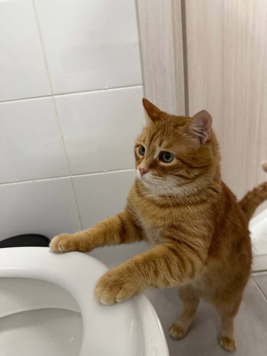 юля (@kanimewest) on Twitter photo 