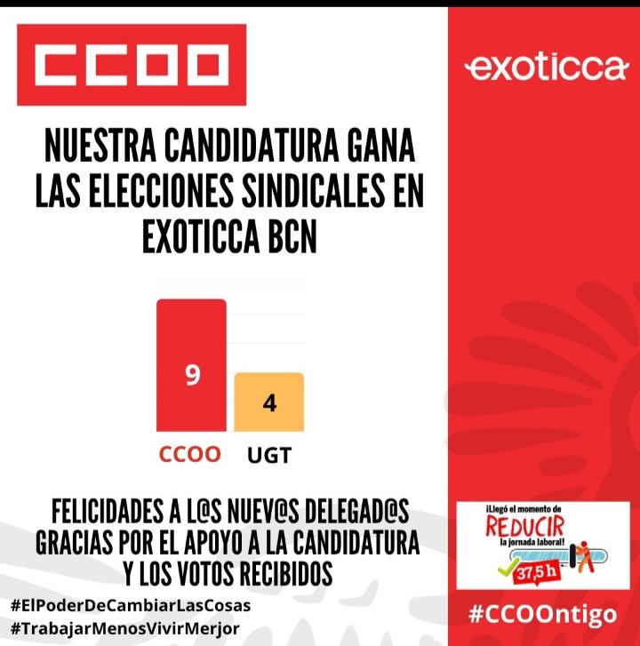 Sector Aeri CCOO Cat tweet media