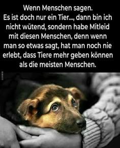 Karin Glaeser tweet media