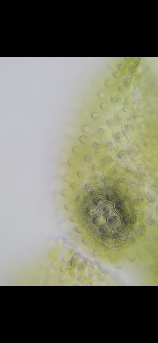 Jamie warren tweet media