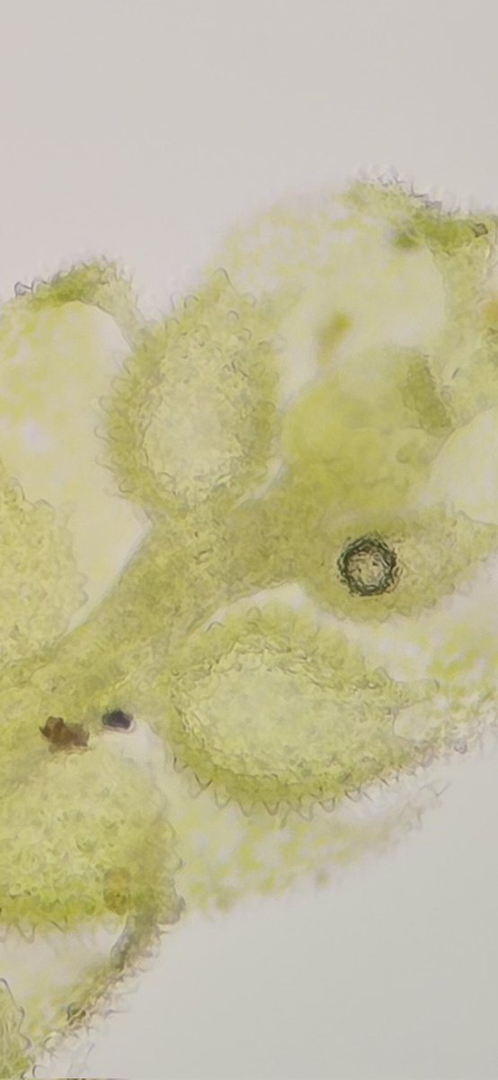 Jamie warren tweet media