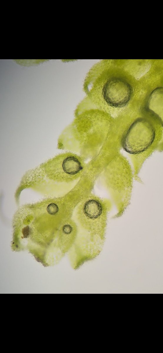 Jamie warren tweet media