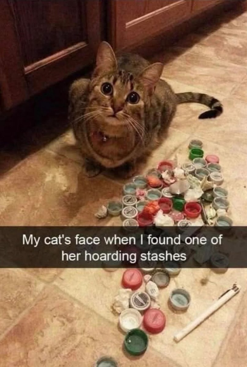 WholesomeMemes (@wholesomememe) on Twitter photo 