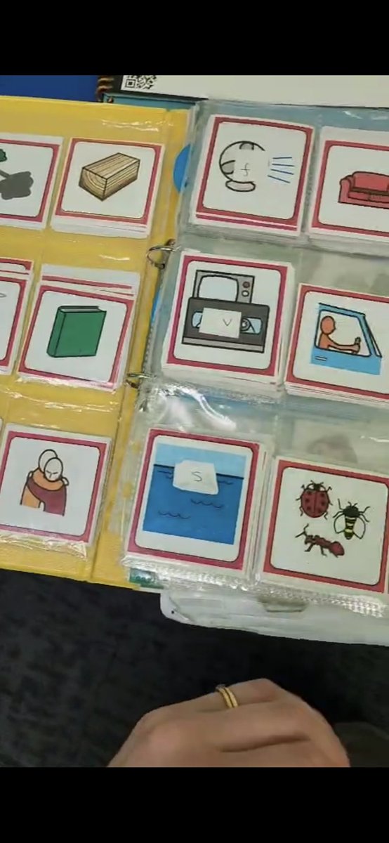 You know you're a Speech and Language Therapist when.... you're excited by organising all your speech sounds. Summer term we're ready for you! #slt #sltadmin #organised #speechtherapy #therapyresources