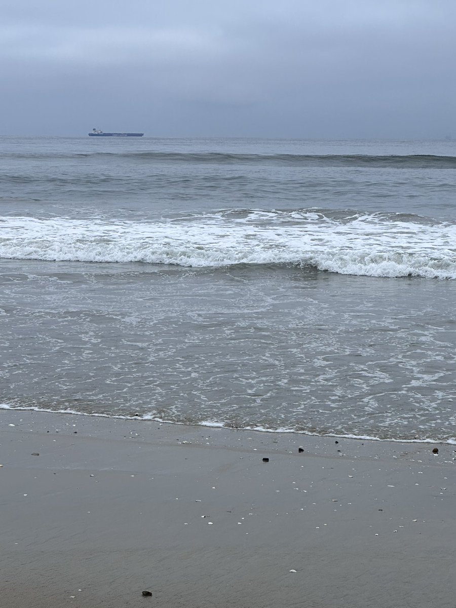 toddewiest's tweet image. Receding tide gave me good insight into structure but nothing going on otherwise. 
#surffishing #flyfishing #socalfishing #orvis @notonlytrout #corbina