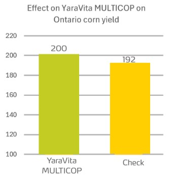 Taylor Jeffery tweet media