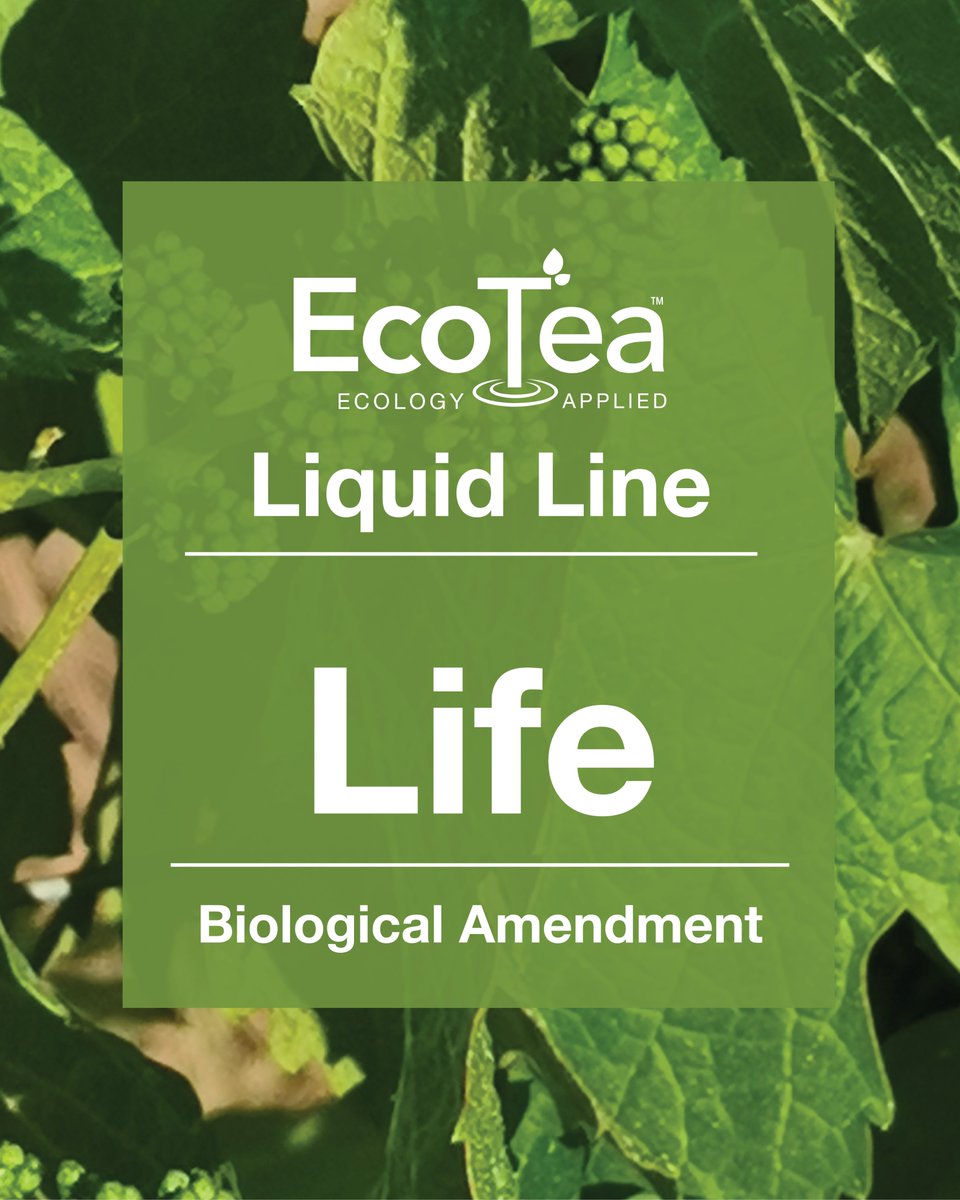 EcoTea Life is the backbone of the EcoTea Liquid Line.  A stable blend of a vast community of microbes- an ecosystem in every drop