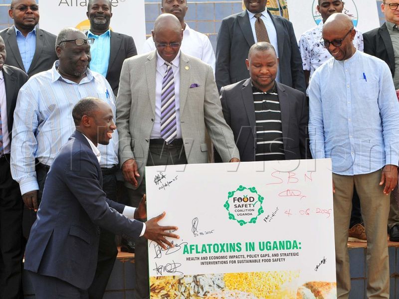 Members of the Food Safety coalition of Uganda have called for mass sensitisation of the masses about the dangers of aflatoxins to ensure that food coming from the farm to the market is safe for consumption. 

DETAILS👉 buff.ly/KnfwpQF 

#VisionUpdates