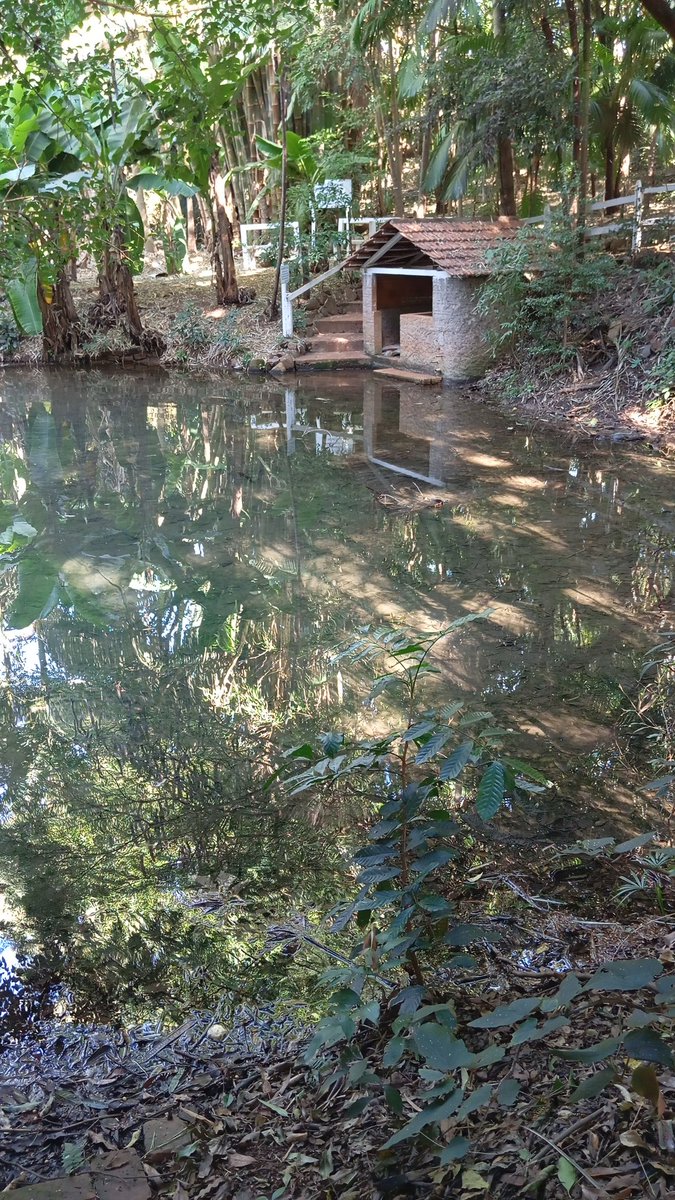 fritzfarm_'s tweet photo. Good morning. After two years away for personal reasons, I am back on social media to update our organic and sustainable agriculture. Thank you! May God bless you greatly!!
#water #beatifulday #organicfarming #nature #fritzfarm #fritzfarmmetaverse #fritzfarm_metaverse #metaverse https://t.co/1VeT5EgztH