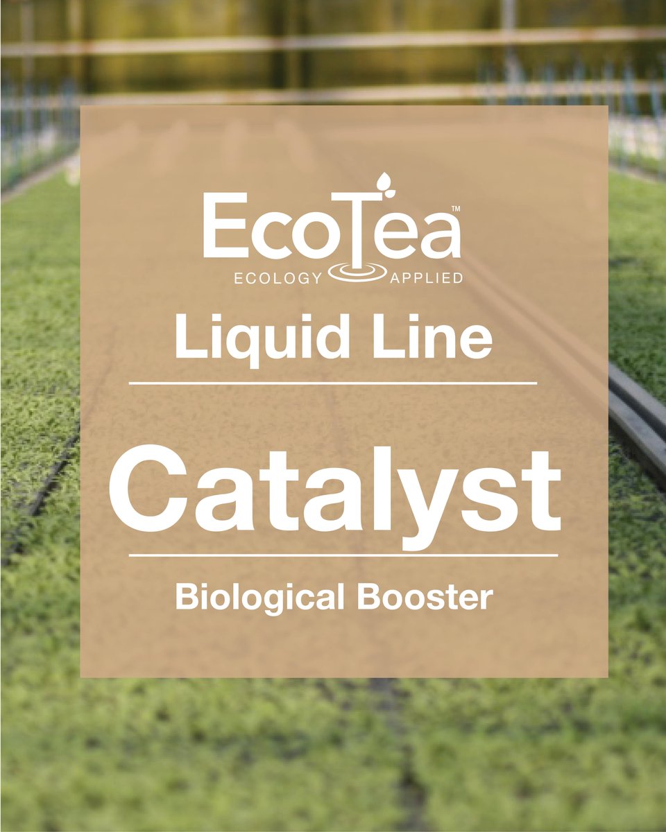 The EcoTea Liquid Line is formulated to give managers a seamless option to fits their existing program and gives a range of additional benefits.  Convenience, value and efficacy with EcoTea Liquid Line