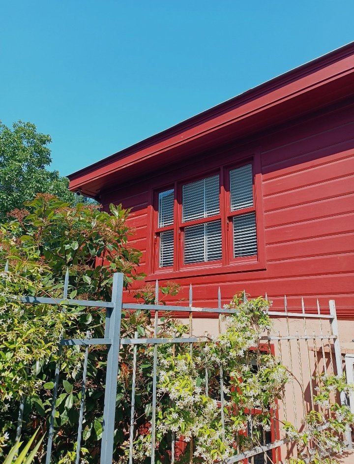 Bu çiçekler ayrı bi güzel🌝🌸 #MinMer #MinaDemirtaş #MertYazıcıoğlu