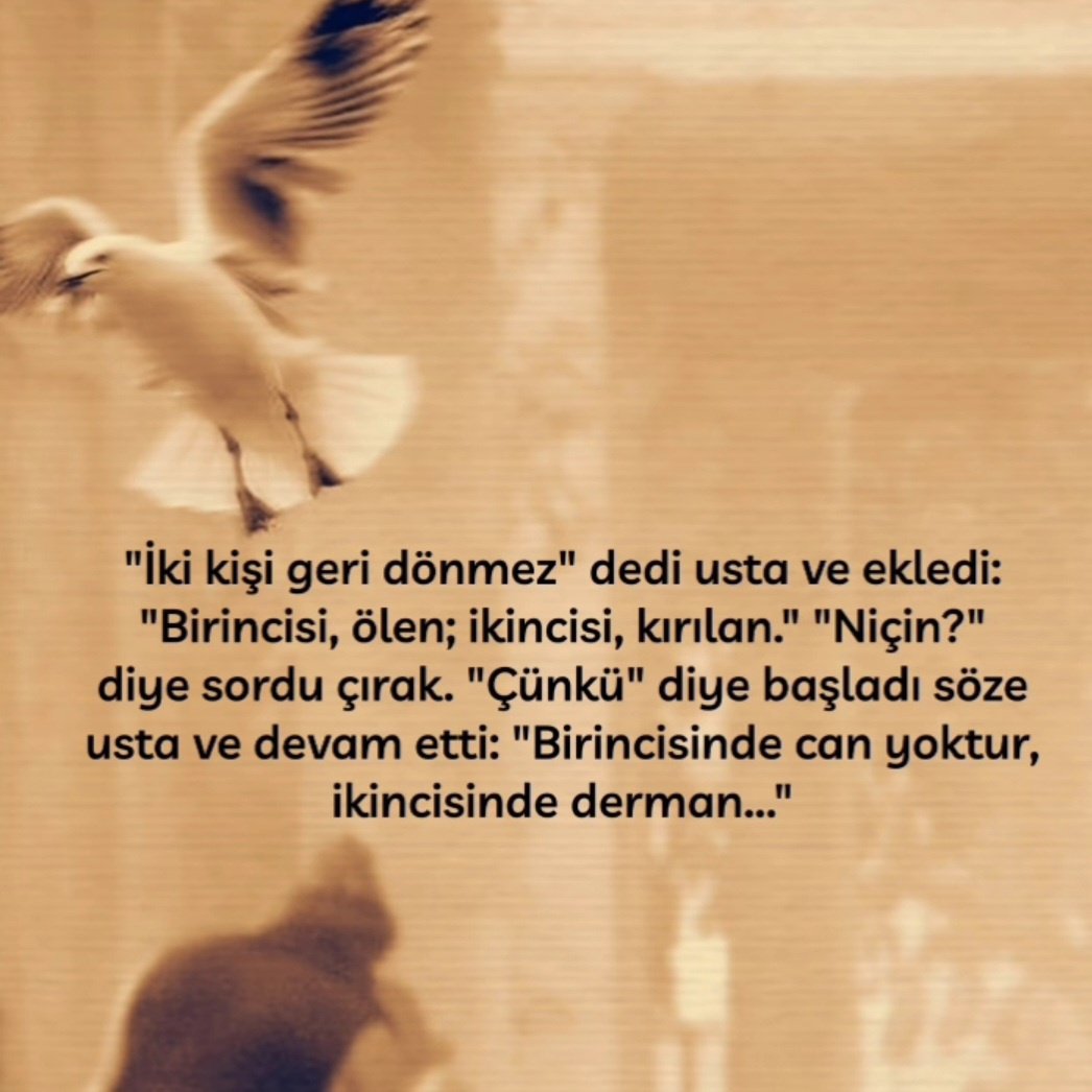 Recep alkan tweet media