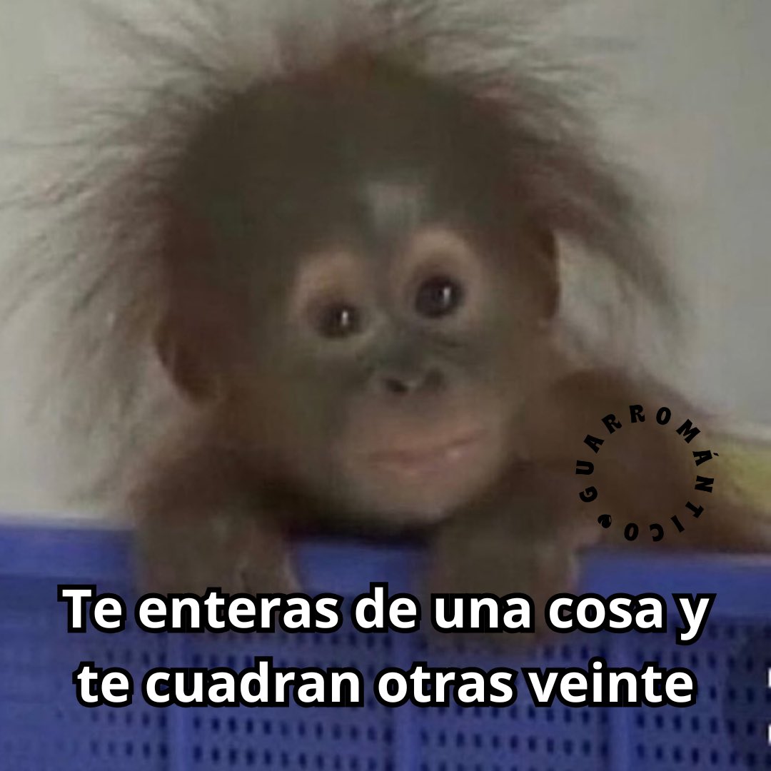 Guarromantico_'s tweet photo. Todo cobra sentido. https://t.co/thXN0Nk123