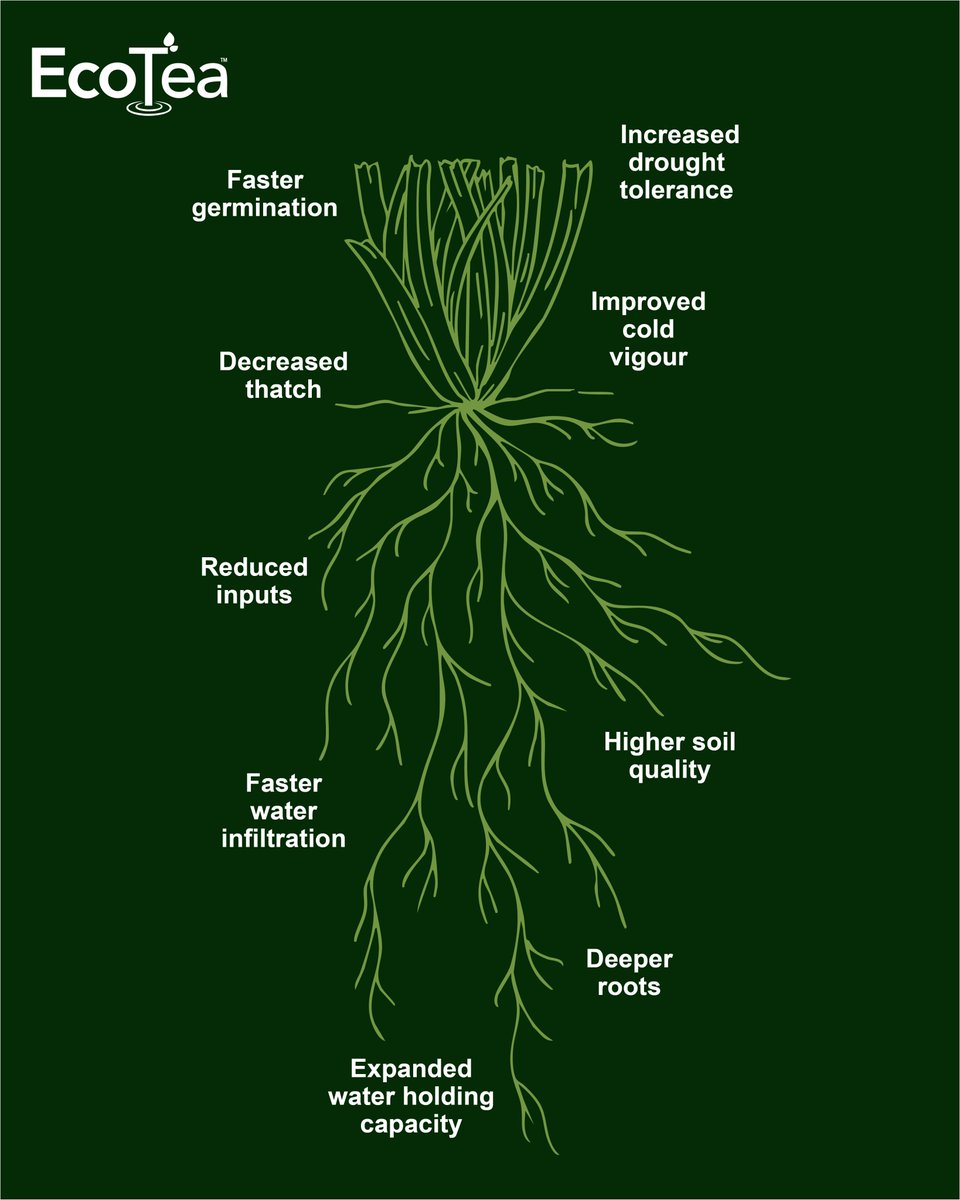 Grass maintenance has the challenge of intense use and difficult conditions. This is where EcoTea can shine and get a team of microbes supporting your team 24 hours a day all season long!