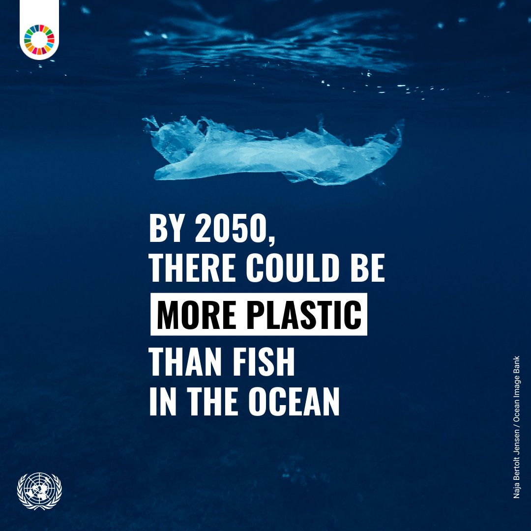 🐟 Or plastic?
By 2050, our oceans could hold more plastic than fish.
This crisis is man-made — and so is the solution.
Ahead of #UNOC2025, let’s act to #SaveOurOcean and turn the tide. #GlobalGoals
🌐 sdgs.un.org/conferences/oc…