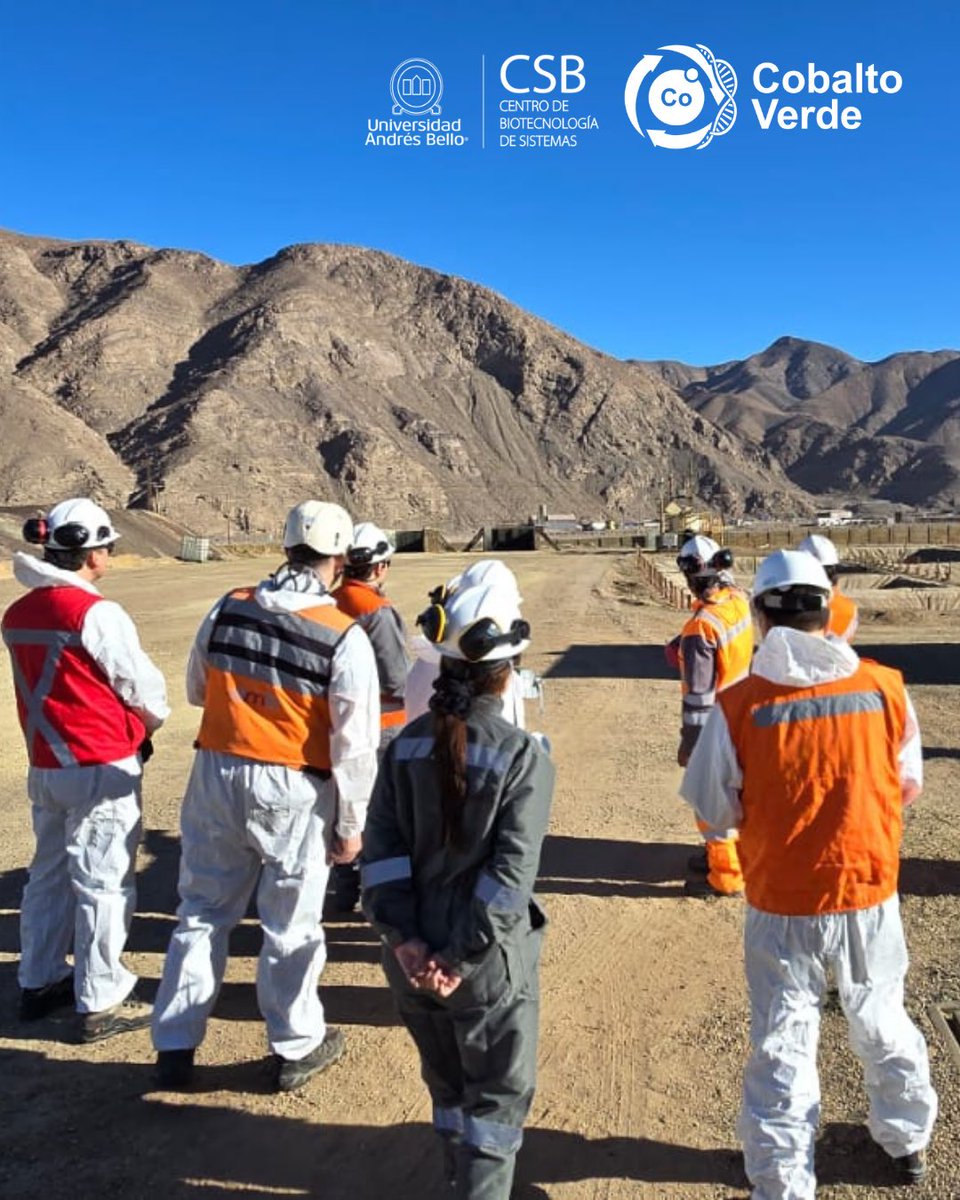 CSB_UNAB's tweet image. 🫱🏻🫲🏼Trabajar junto a Pucobre como socio estratégico del proyecto #CobaltoVerde demuestra que la colaboración en I+D entre academia e industria acelera el avance de las innovaciones hacia el mercado.
🔎 Conoce más en 👉 cobaltoverde.cl
#CobaltoVerde #MineríaSostenible