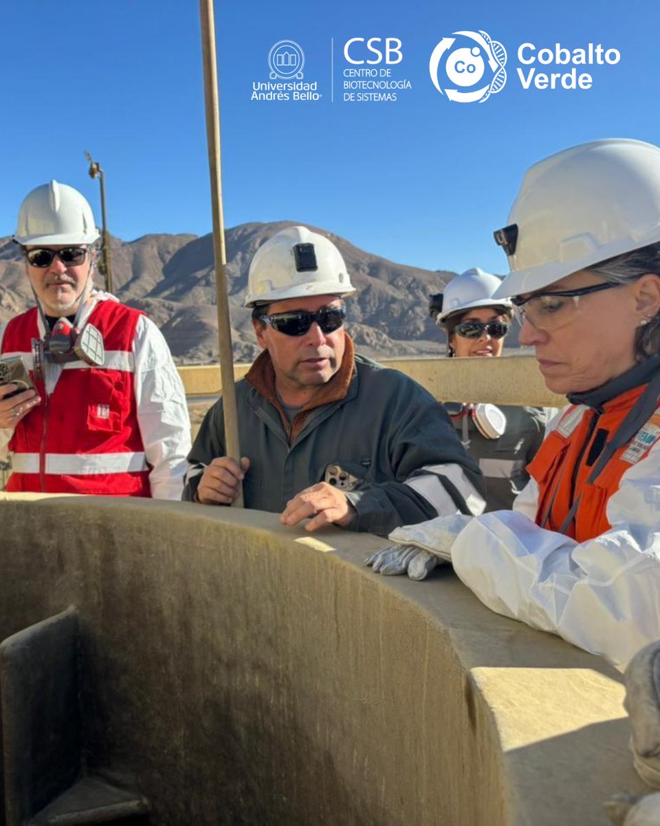 CSB_UNAB's tweet image. 🫱🏻🫲🏼Trabajar junto a Pucobre como socio estratégico del proyecto #CobaltoVerde demuestra que la colaboración en I+D entre academia e industria acelera el avance de las innovaciones hacia el mercado.
🔎 Conoce más en 👉 cobaltoverde.cl
#CobaltoVerde #MineríaSostenible