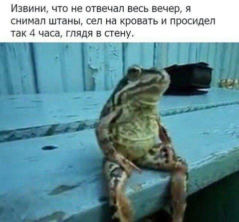 sobolyata's tweet photo. Ну кто?) https://t.co/FkoOwnAHWm