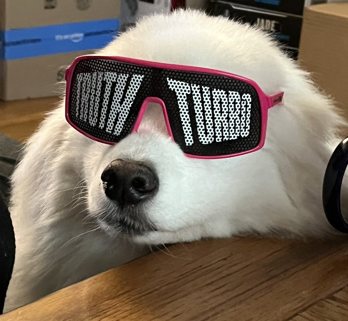 “Marky” Mark K. Fabe ✡️ (@markykfabe) on Twitter photo My man Wyatt knows what’s up! 👇🏼
💪🏼👊🏼🤘🏼🤘🏼
<a href="/turbofloyd_/">Turbo</a> <a href="/TruthMagnum/">Truth Magnum of The Outrunners</a>
#Outrunners 😎 <a href="/AEW/">All Elite Wrestling</a> <a href="/PWTees/">Pro Wrestling Tees</a> My man Wyatt knows what’s up! 👇🏼
💪🏼👊🏼🤘🏼🤘🏼
<a href="/turbofloyd_/">Turbo</a> <a href="/TruthMagnum/">Truth Magnum of The Outrunners</a>
#Outrunners 😎 <a href="/AEW/">All Elite Wrestling</a> <a href="/PWTees/">Pro Wrestling Tees</a>