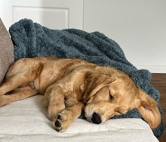 Radio Roland Garros tweet media