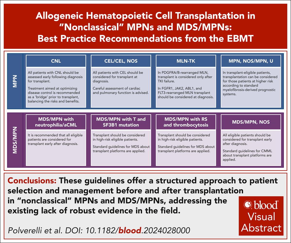 “Nonclassical” myeloproliferative neoplasms and myelodysplastic/myeloproliferative neoplasms represent a heterogeneous group of malignancies characterized by a wide range of clinical manifestations. ow.ly/5knJ50W1ftQ #myeloidneoplasia #transplantation