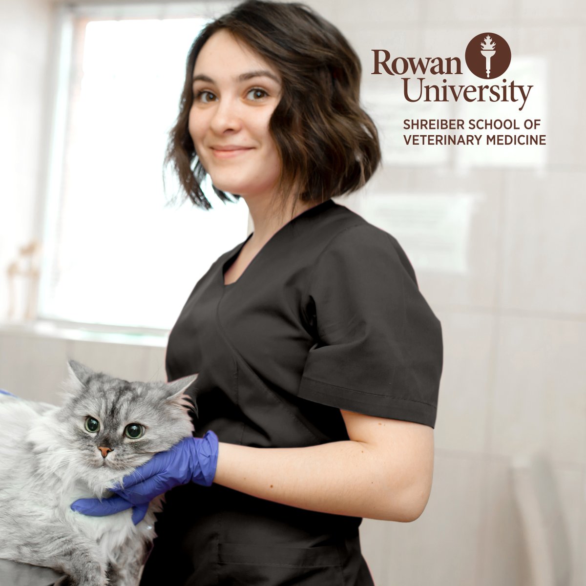 The Shreiber School of Veterinary Medicine of Rowan University is seeking Veterinary Assistants and Veterinary Technicians to join its new veterinary program and teaching hospital. Get details and apply at jobs.rowan.edu/en-us/job/5005…