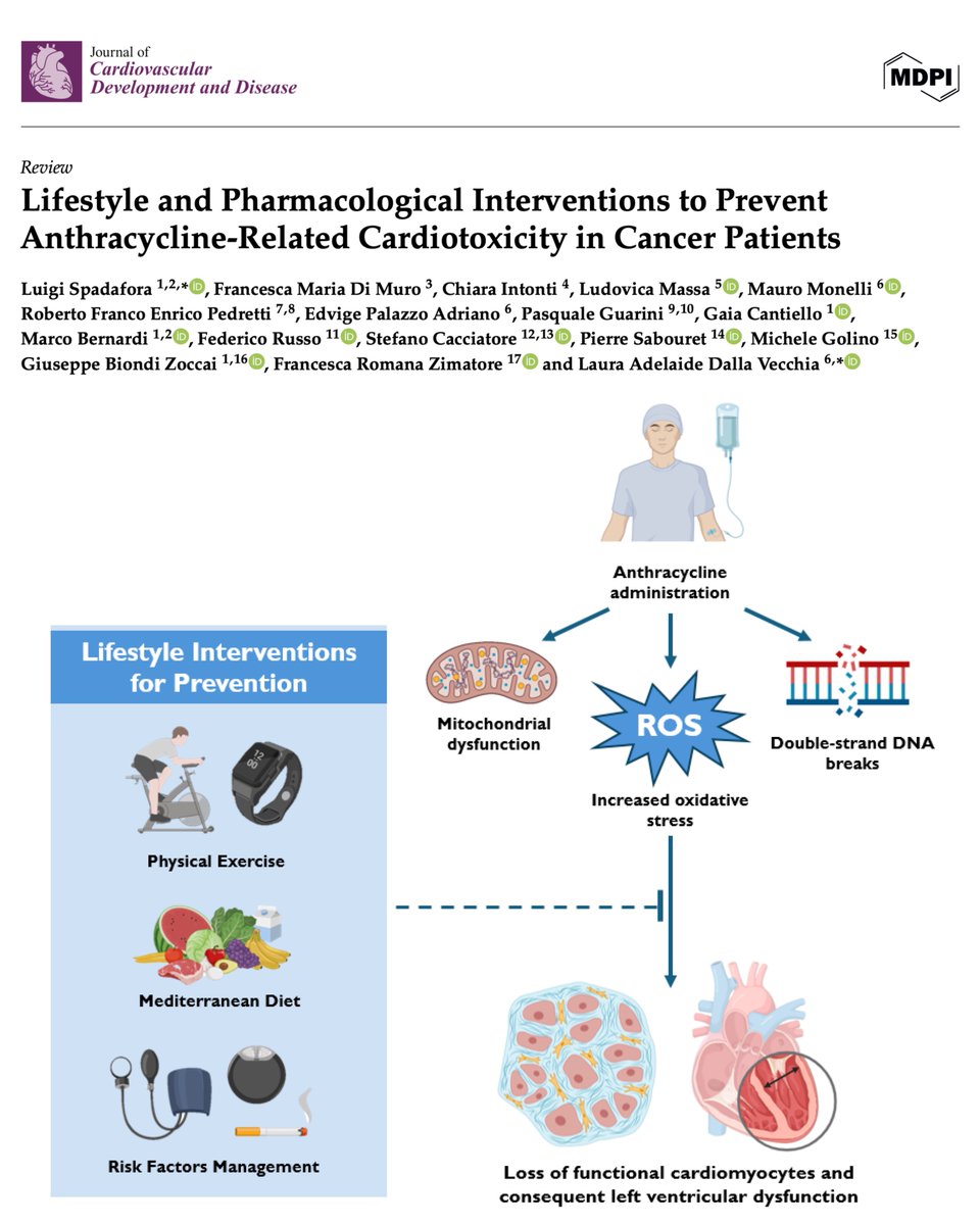 stecacMD's tweet image. 🚨 Our latest review article "Lifestyle and Pharmacological Interventions to Prevent Anthracycline-Related Cardiotoxicity in Cancer Patients" is now available in @JCDD_MDPI! Special thanks to @LuigiSpadafora for leading this significant work and to all the co-authors:…