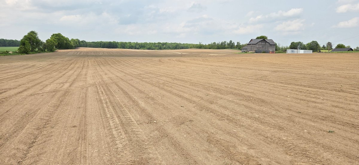 Cranberry beans are 48 hrs since planted. Hopefully a nice warm rain tonight and we'll be rocking!