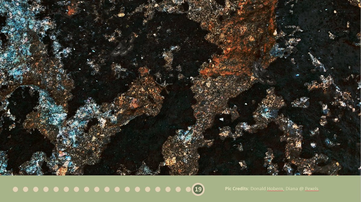 empseb31's tweet photo. Can you spot the moths? This is a perfect illustration of Akhil Sadiq's talk, 'Blending at borders: the role of background boundaries in camouflage'.
#EMPSEB30 #conference #phdstudent #evolution #camouflage https://t.co/6kdFBaE1xN