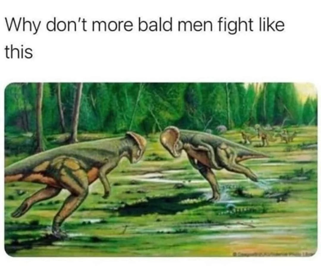 ShitpostGate's tweet photo. https://t.co/ViZ75sSv9p