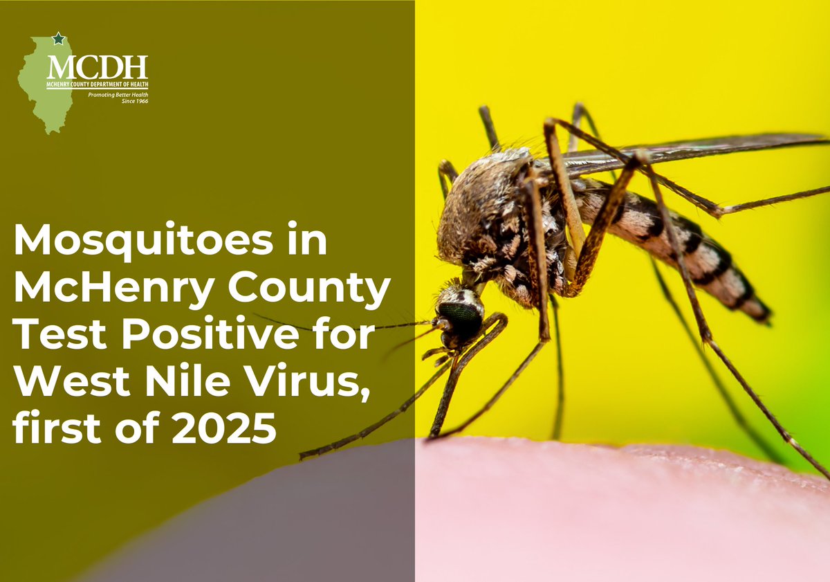 🦟 Mosquitoes collected in Lake in the Hills on June 2 have tested positive for West Nile virus, marking the first positive test in McHenry County for 2025. No human cases have been reported.

Learn more at mcdh.info or call (815) 334-4585.