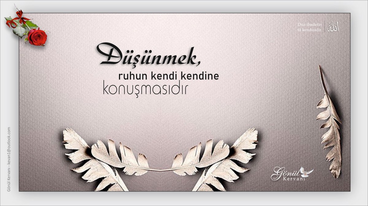 Düşünmek ruhum kendi kendine konuşmasıdır… 🕊️