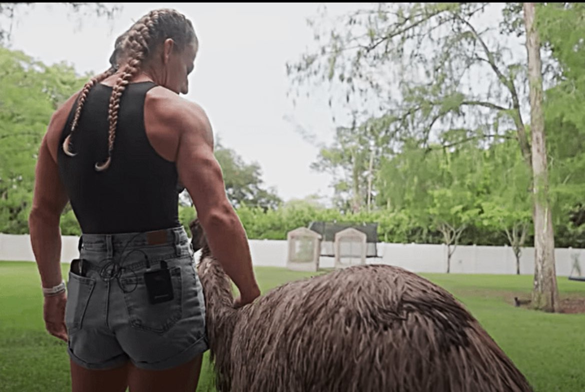 Dovy🔌 tweet media