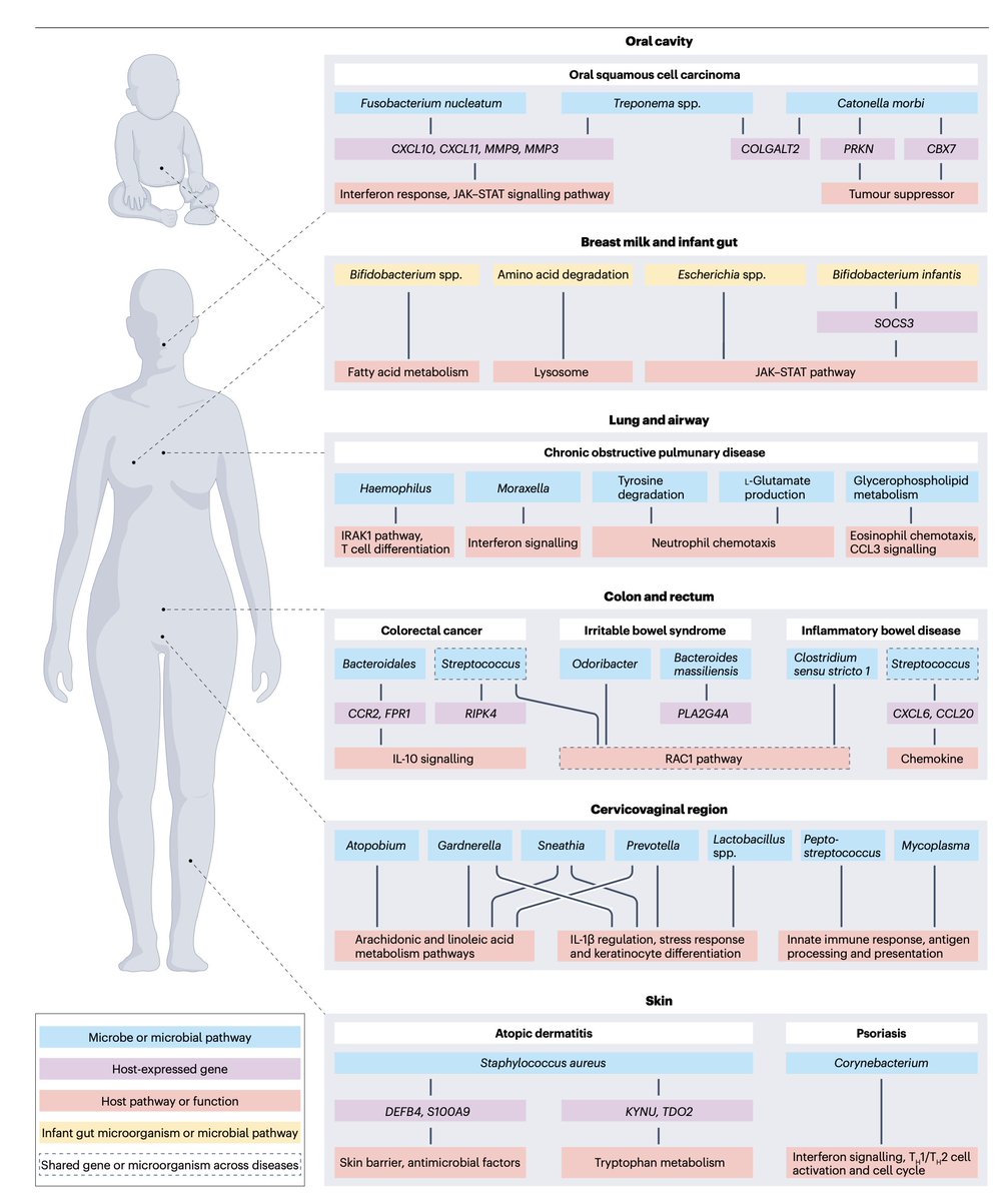Ran Blekhman (@blekhman) on Twitter photo 📣 Happy to share our review on host-microbiome genomics, out now <a href="/NatureRevGenet/">Nature Reviews Genetics</a>
We synthesize the growing field exploring interactions between human genetics and the microbiome, building a roadmap for mapping the dialogue between our genes and microbes
nature.com/articles/s4157… 📣 Happy to share our review on host-microbiome genomics, out now <a href="/NatureRevGenet/">Nature Reviews Genetics</a>
We synthesize the growing field exploring interactions between human genetics and the microbiome, building a roadmap for mapping the dialogue between our genes and microbes
nature.com/articles/s4157…