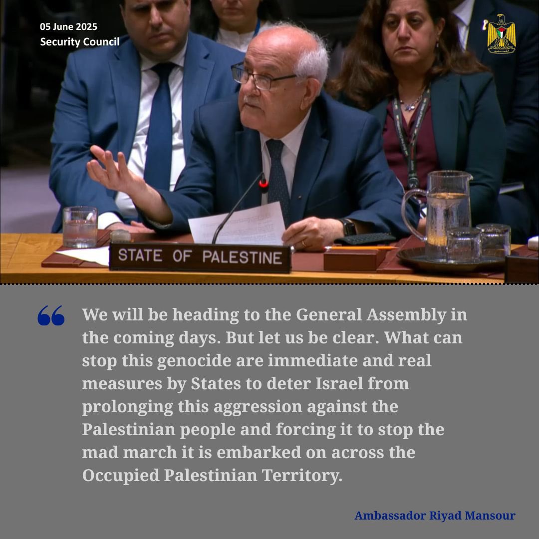 After the veto on Security Council resolution calling for a ceasefire and lifting of Israel’s blockade, Ambassador Mansour said: