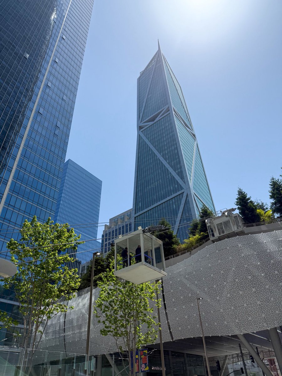 “paula” tweet media