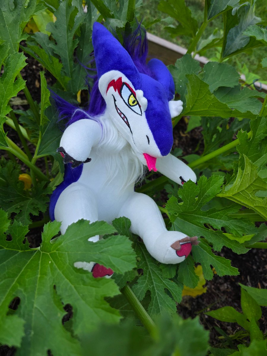 Thinking of nabbing a sergal plush but havent yet? 

We're down to our last 10 or so Rain plushies and once they're gone they won't be restocked! 

Get your fluffy (slightly sinister?) Little friend while you can!
 boldkobold.com/collections/pl…