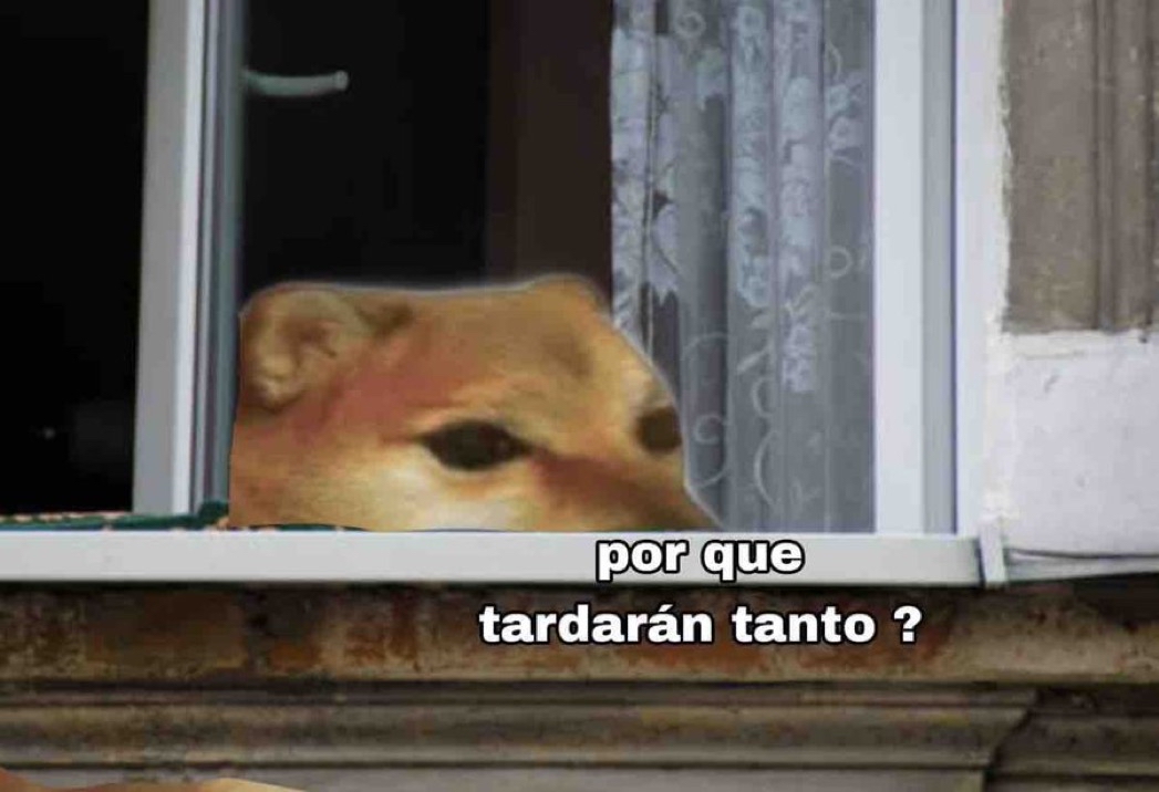 Guarromantico_'s tweet photo. “Su pedido llega hoy”

Yo, todo el día: https://t.co/BGKqkEnvaJ