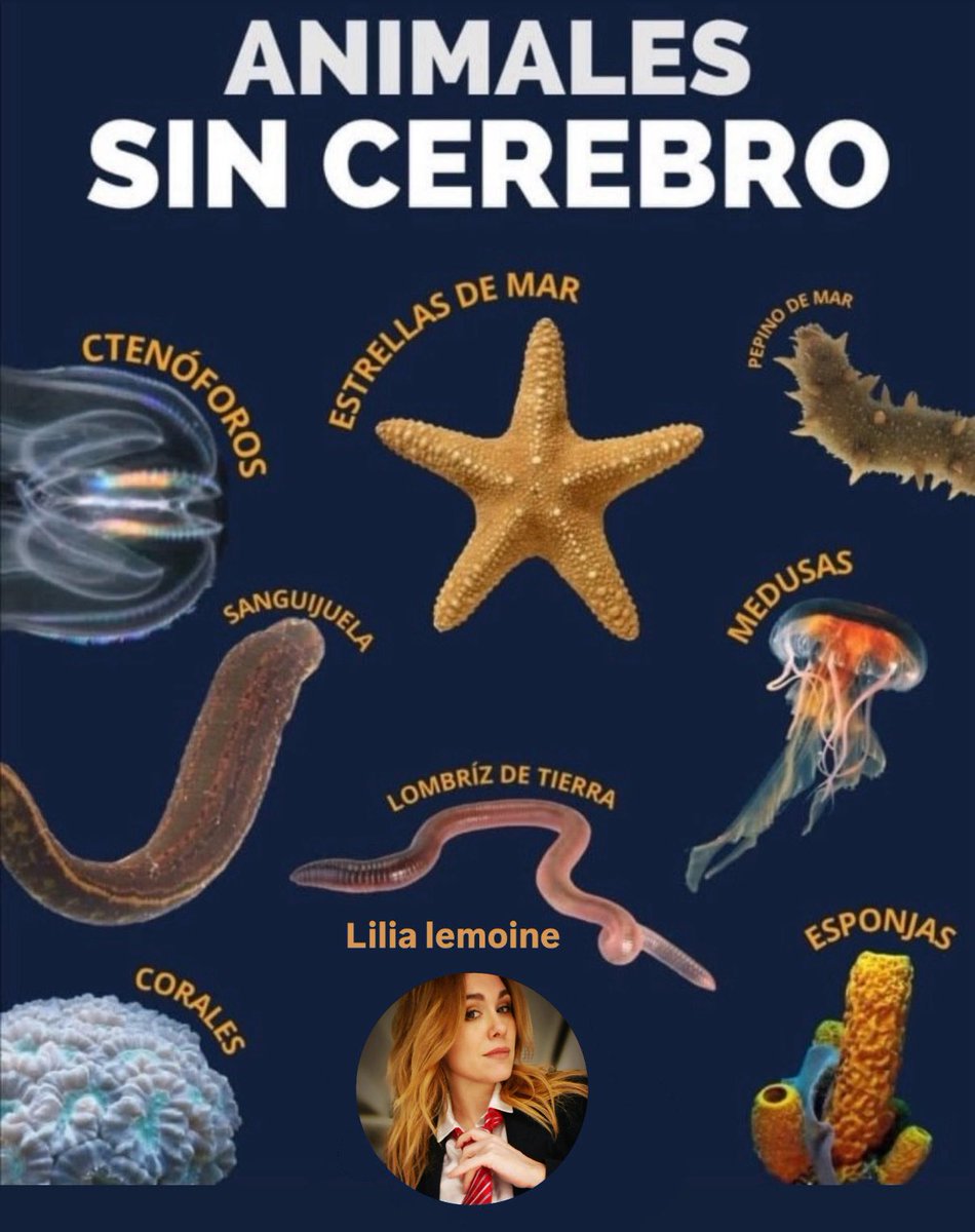 maflorencia_a's tweet photo. https://t.co/Rt2G2CpKyS