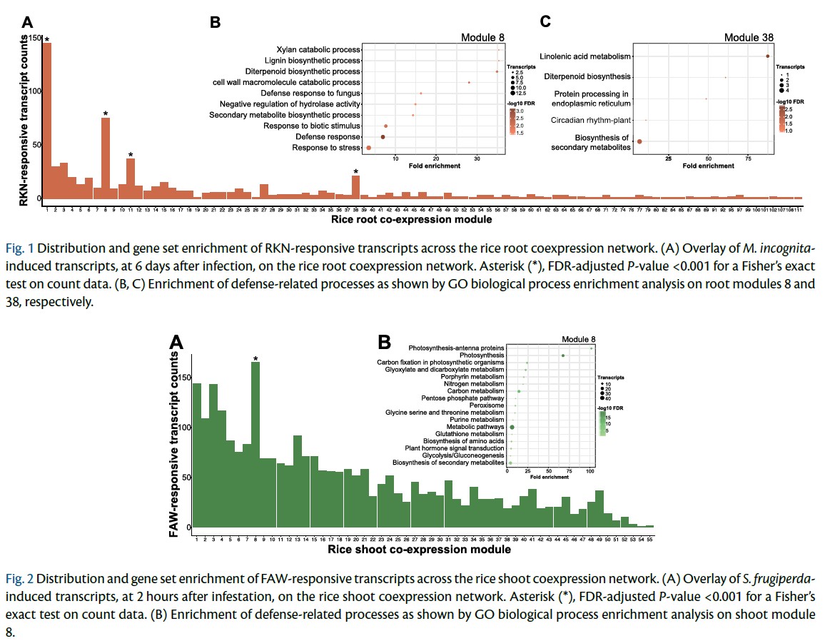 PCP_EIC's tweet photo. ๐From recent PCP (66-4): Regular Paper๐
'Evolutionary Systems Biology Identifies Genetic Trade-offs in Rice Defense against Aboveground and Belowground Attackers'
Dunivant et al.
https://t.co/lmql1om7Z3
#PlantEcology #PlantEvolution #BalancingSelection #Herbivore #Oryzasativa https://t.co/9Q331UiUNO